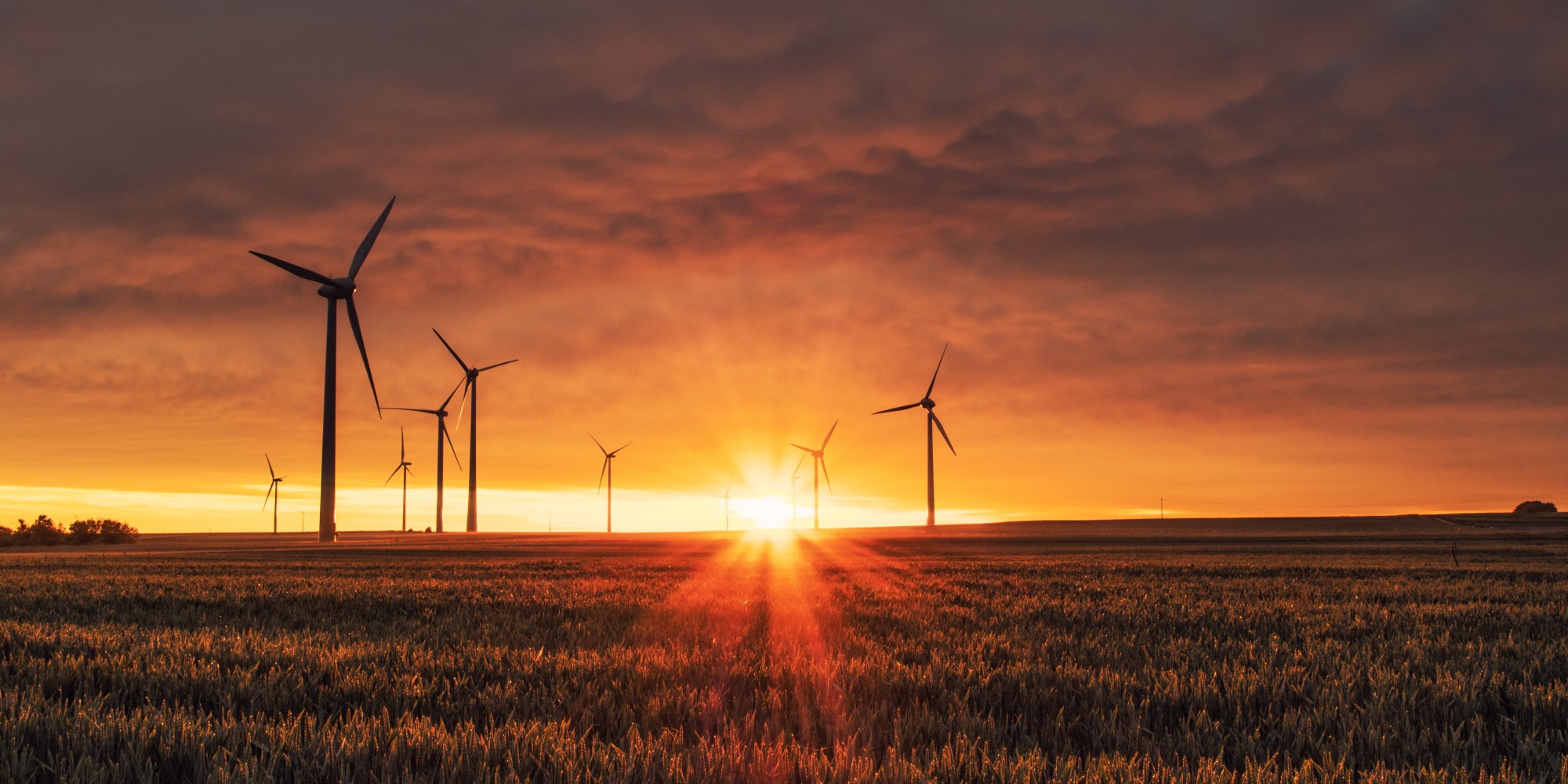 Priority-One-Decarbonisation-Workshop-Event-image-2x1-1 Windmills against a sunset sky, representing renewable energy and decarbonisation efforts. Decarbonisation for Businesses.