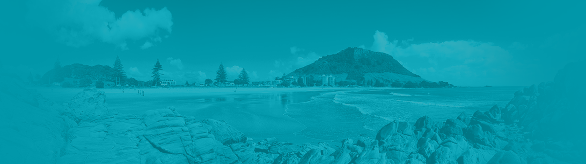 Website header - Economic Monitor