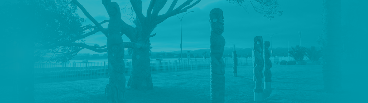 Website header - Newsletter