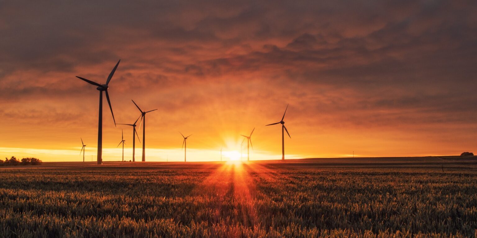 Windmills against a sunset sky, representing renewable energy and decarbonisation efforts. Decarbonisation for Businesses.