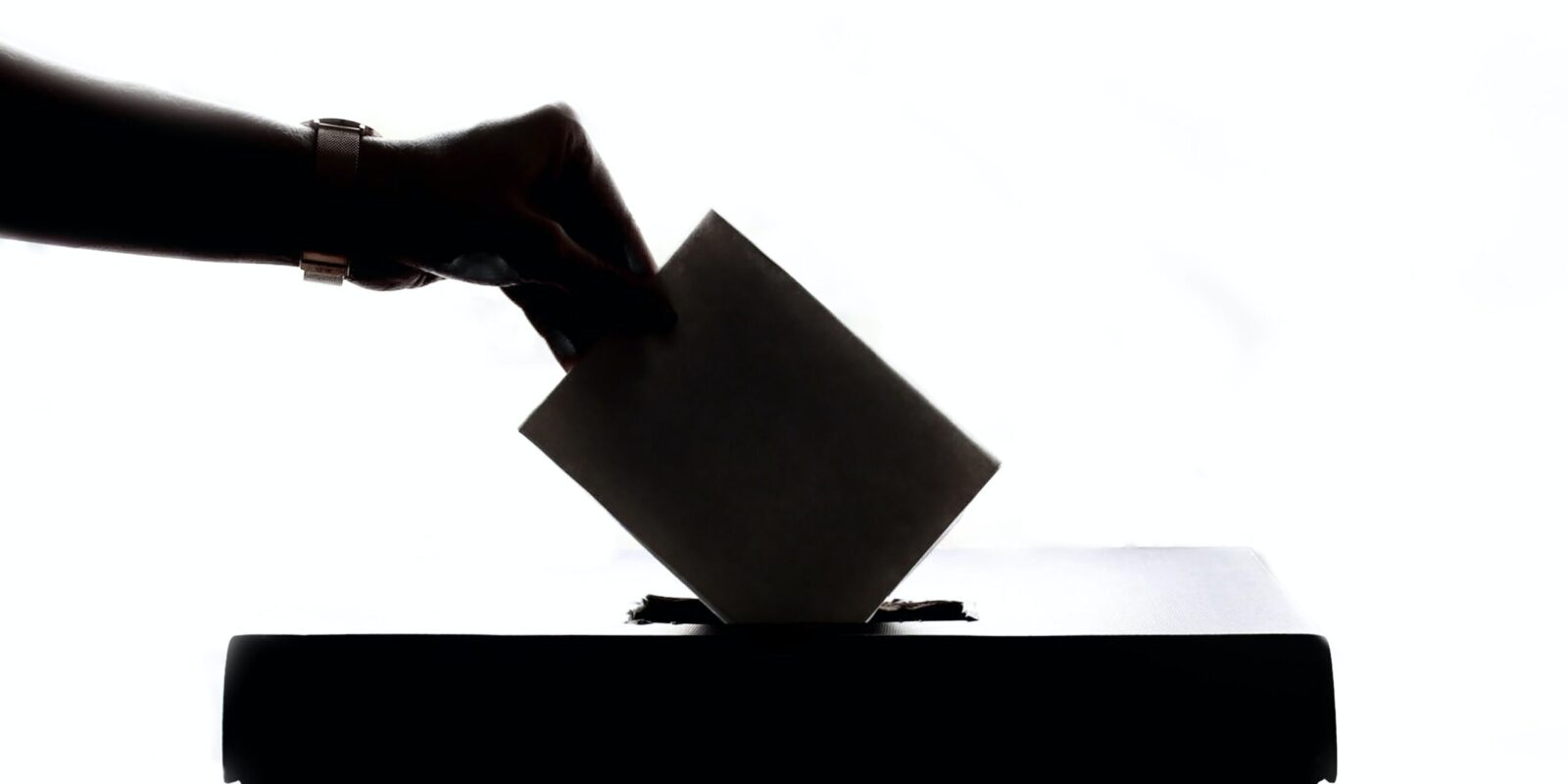 voting voting